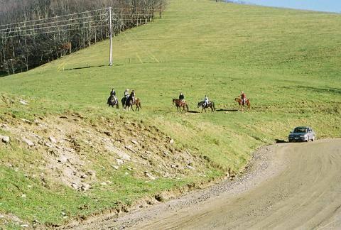 Cataloochee007