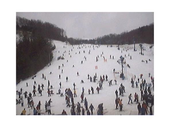 cataloochee021404