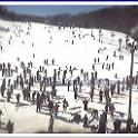 2005_Cataloochee