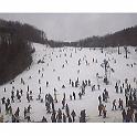 cataloochee021404