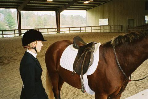 HorseShow003