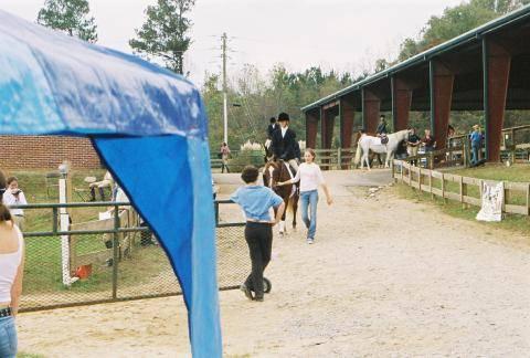 HorseShow004