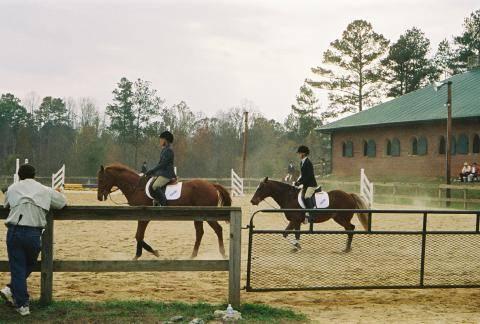 HorseShow006