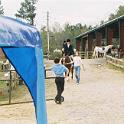 HorseShow004