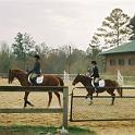 HorseShow006